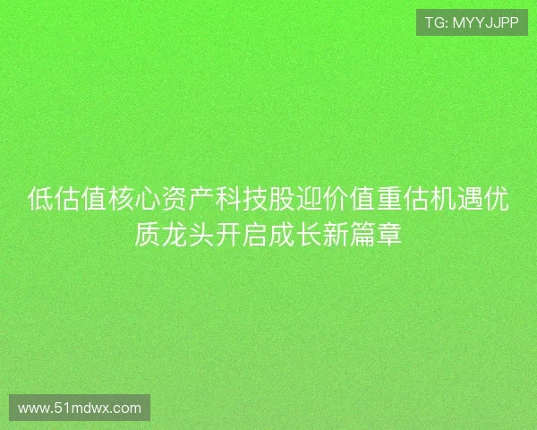 低估值核心资产科技股迎价值重估机遇优质龙头开启成长新篇章 低估值核心资产科技股迎价值重估机遇优质龙头开启成长新篇章